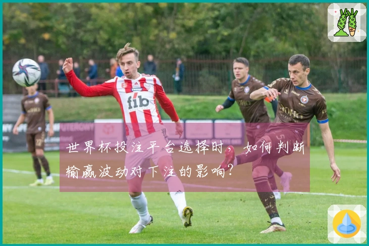 世界杯投注平台选择时，如何判断输赢波动对下注的影响？